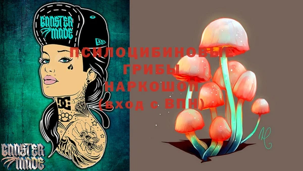 МДПВ Наволоки