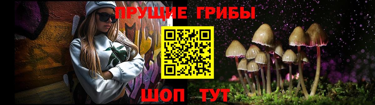 Отрадный  Псилоцибиновые грибы Psilocybe  Вход с VPN 